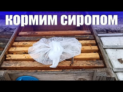 Видео: Подкормка пчел зимой это важный период зимовки на улице