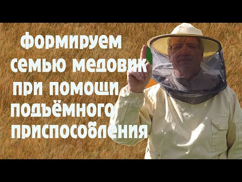 Видео: Формируем семьи медовики при помощи подъёмного механизма.