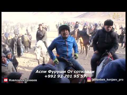 Видео: Америка Аспи Фуруши От Сотилади  +992 92 701 95 57