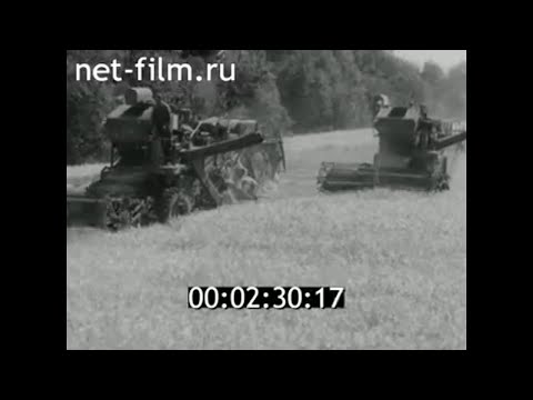 Видео: 1973г. совхоз Красный Север Вологодская обл