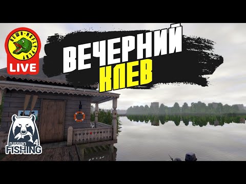 Видео: Вечерний Клев (Стрим - Русская рыбалка 4)