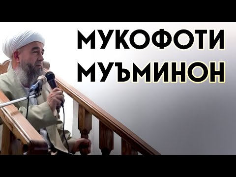 Видео: Мукофоти муъминон