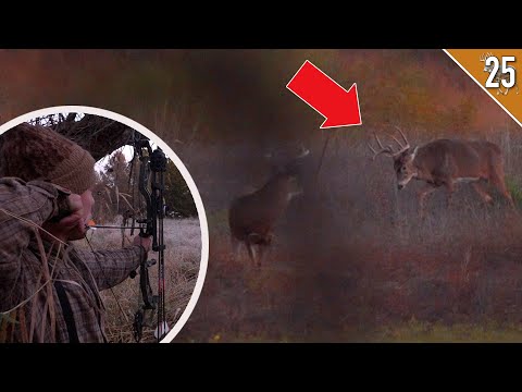 Видео: Охота с луком по гону в Айове!!!