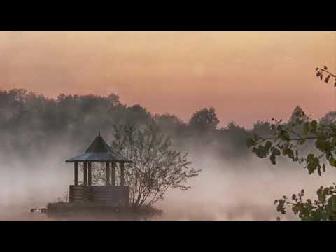 Видео: Спокойная Музыка Для  Сна Для Снятия Стресса -  Deep Sleep Music -  Background  Music