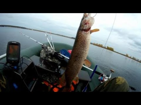 Видео: Рыбалка, троллинг в октябре ,река Кама.