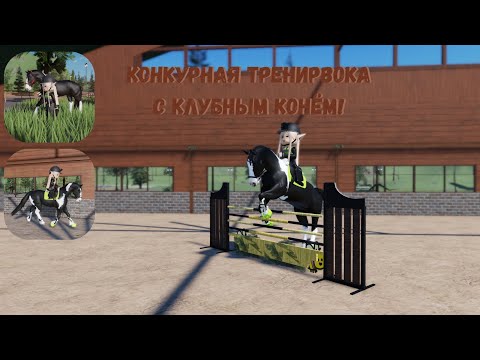 Видео: •тренирока с клубным конём!•Strideway