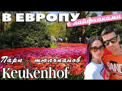 Видео: Едем в Кёкенхоф. Королевский парк тюльпанов. Нидерланды #4
