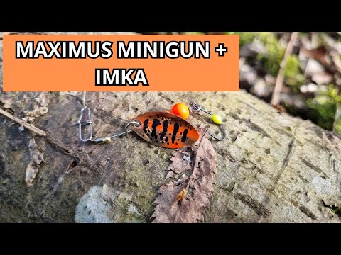 Видео: #72 #форель Предсерийный Maximus Minigun и уникальная IMKA. Форель, ты там как?