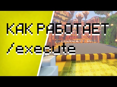 Видео: execute | От овоща к датапакеру