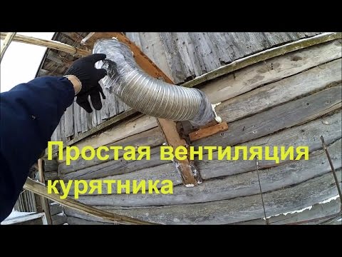 Видео: Вентиляция в курятнике // Зимние будни в деревне