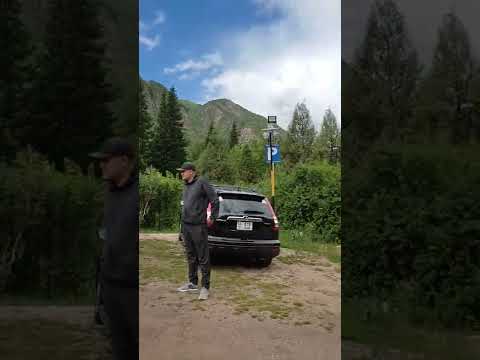 Видео: Чычкан капчыгай. эс алууга токтогон жерден репортаж.