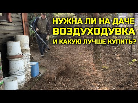 Видео: Нужна ли на даче ВОЗДУХОДУВКА и какую воздуходувку купить