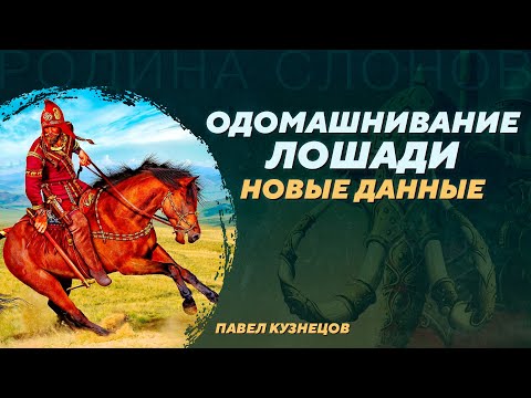 Видео: Генетика, археология и остеология о приручении лошадей. Павел Кузнецов. Родина слонов №383