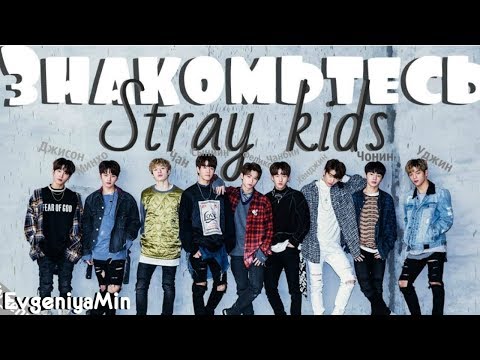 Видео: KPOP| ЗНАКОМЬТЕСЬ STRAY KIDS| ЛЮБИМЫЕ ДЕТКИ| Часть1