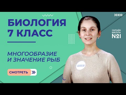 Видео: Многообразие и значение рыб. Урок 21. Биология 7 класс