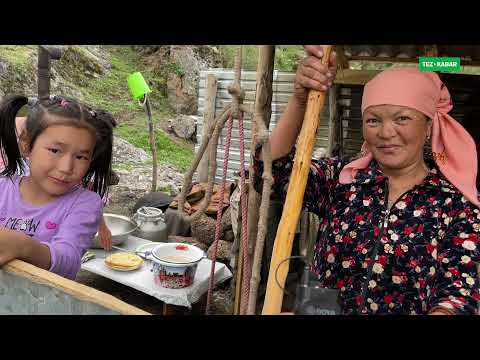 Видео: ТАЗАСЫ бул жакта экен  |  КЫМЫЗ, КАЙМАК, КУЙМАК, КУРУТ, МАЙ, ЧӨБӨГӨ кайдан чыгат?
