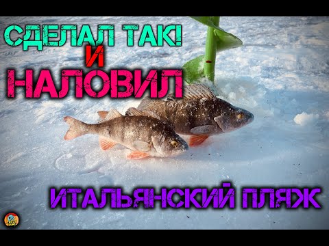 Видео: Подсадка на мормышку. Зимняя рыбалка на окуня.
