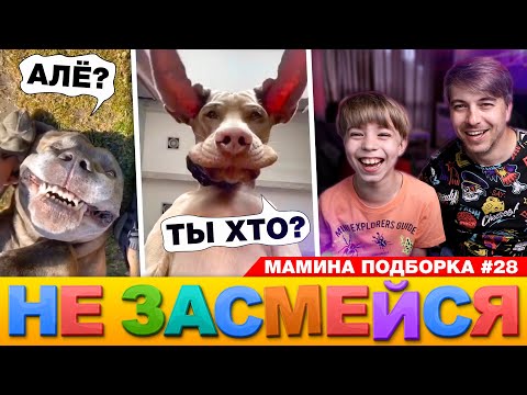 Видео: СОБАКИ, ЛЮДИ И КОТЫ! // НЕ ЗАСМЕЙСЯ ЧЕЛЛЕНДЖ или ТЕСТ НА ПСИХИКУ! Мамина подборка #28