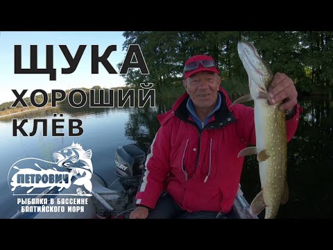 Видео: VLOG: Щука. Осень. Сказочная красота канала. Сентябрь 2020.