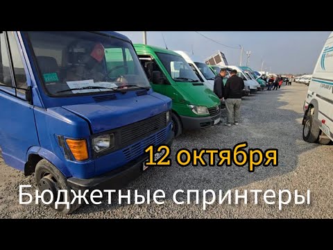 Видео: Авторынок Бишкека на 12 октября.спринтеры и бусы.бюджетные.