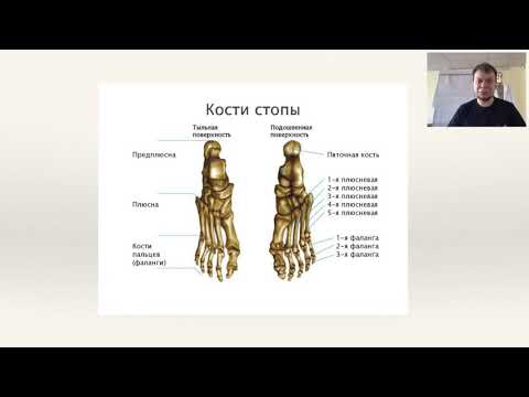 Видео: Дисфункции стопы остеопатический подход. Вебинар