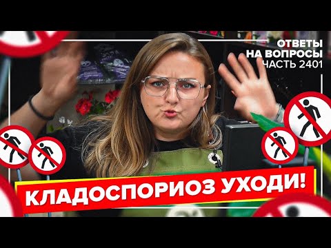 Видео: ВСЕ О КЛАДОСПОРИОЗЕ ТОМАТОВ. КАК ЛЕЧИТЬ? ОТВЕЧАЕМ НА ВОПРОСЫ