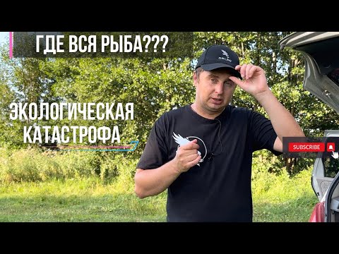 Видео: КТО или ЧТО уничтожает рыбу | отпускать или не отпускать, вот в чем вопрос