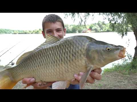 Видео: Ловля карпов,крупных карасей при помощи эхолота deeper pro+ Часть 2