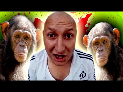 Видео: Бухие ОБРЫГАНЫ В ПАДИКАХ [ Это НЕ ЛЮДИ - ЭТО ЖИВОТНЫЕ ! ]
