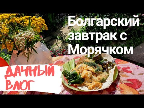Видео: СТАРАЯ ДАЧА | Кабачки по болгарски | ОГОРОД И РЕЦЕПТ №38