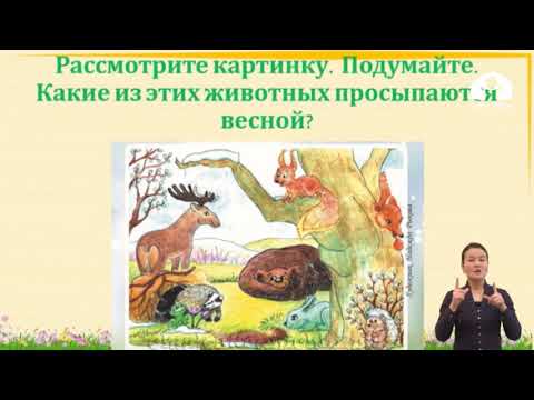 Видео: 2 класс / Родиноведение / Весна. Неживая и живая природа / 16.04.20