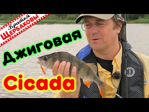 Видео: ЦИКАДЫ (Cicada), раттлины и вибы (VIB) – отличные ДЖИГОВЫЕ ПРИМАНКИ!