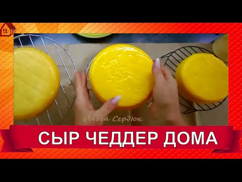 Видео: ДОМАШНИЙ СЫР ЧЕДДЕР * Подробно с разбором моих ошибок / homemade cheese cheddar