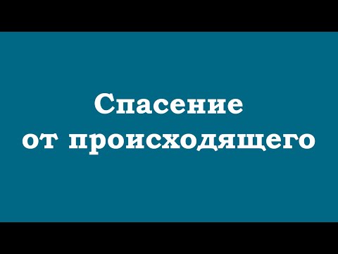 Видео: Спасение от происходящего