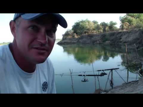 Видео: САЗАН НА НАРЕЗКУ РЫБАЛКА НА САМОЙ ДЛИННОЙ РЕКЕ СРЕДНЕЙ АЗИИ .ДЕНЬ ВТОРОЙ.