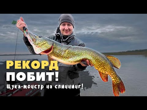 Видео: Щука-монстр на спиннинг! | "ОХОТА ЗА ТРОФЕЕМ" серия №3 ФИНАЛ!?