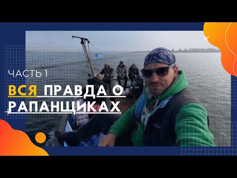 Видео: Вылов рапана. Вся правда о рапанщиках. Часть 1