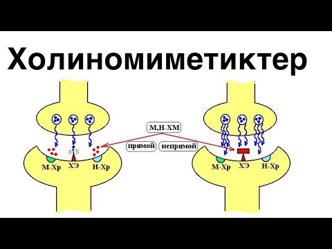 Видео: Холиномиметиктер-әсер ету механизмдері,препараттар