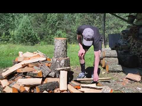 Видео: Свежая болотная ольха часть 2/ Fresh swamp alder part 2 