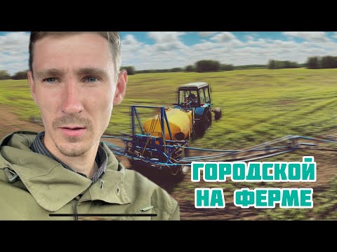 Видео: Сказ о том как я на ферме работал