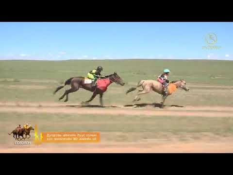 Видео: 2018 оны Дундговь аймгийн Луус сумын хүн эмнэлгийн 80 жилийн ой