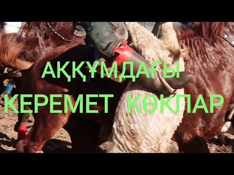 Видео: Кокпар.20.02.2023 Аққұмдағы көкпар той. Керемет көкпар той.