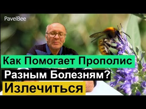 Видео: № 126 Как Помогает Прополис, Разным Болезням | Пчеловодство для начинающих | Пасека