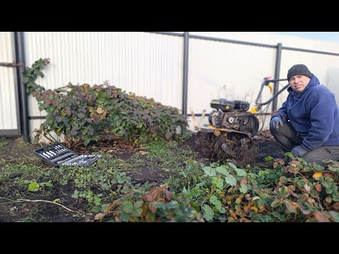 Видео: ВСПАХАЛИ ЗЕМЛЮ/СЛОМАЛИ МОТОБЛОК/ОБНОВКА В ДОМ/ГАЗОНА НЕТ, СКОСИЛА/БАНЯ