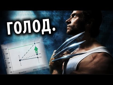 Видео: Как ГОЛОД Изменит Тебе МОЗГ