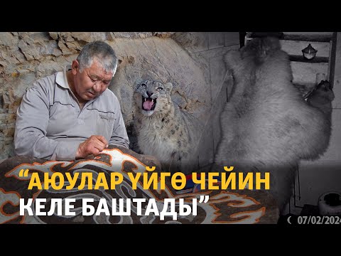 Видео: Ак-Шыйрактагы турмуш