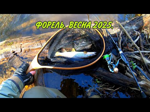 Видео: Весенняя форелька 2025.