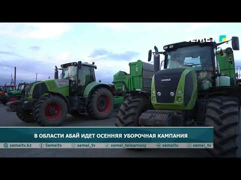 Видео: В области Абай идет осенняя уборочная кампания