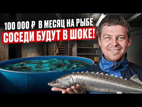 Видео: Прибыльный бизнес в подвале с нуля! Сколько ЭТО стоит и как собрать мини-УЗВ для выращивания рыбы?
