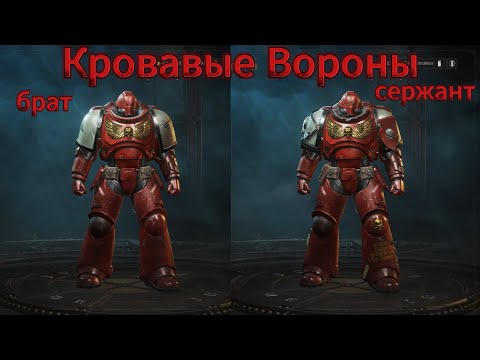 Видео: БРАТ и СЕРЖАНТ. Кровавые Вороны в Warhammer 40000 Space Marine 2